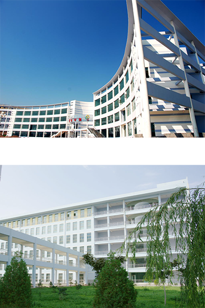 岁月流金 · 青春不散场