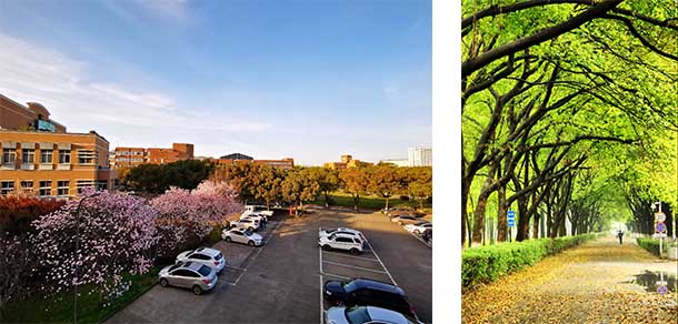 宁波大学 - 流金岁月