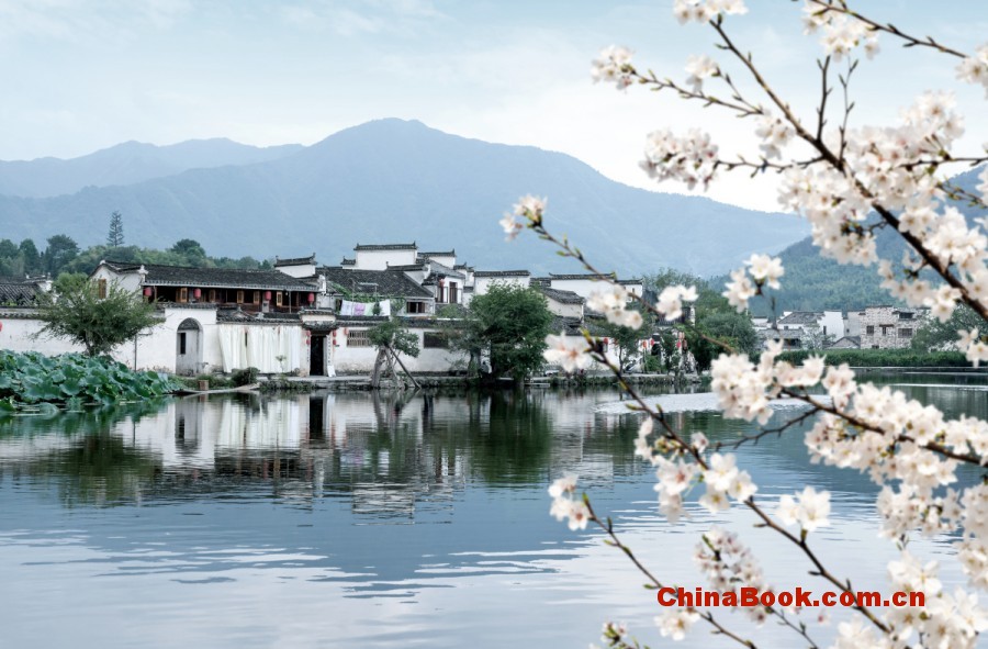 DSE 内地升学指南